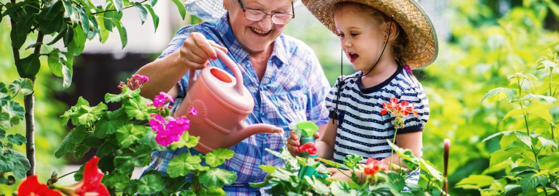 Gardening with a kids. Senior woman and her grandchild working in the garden with a plants.