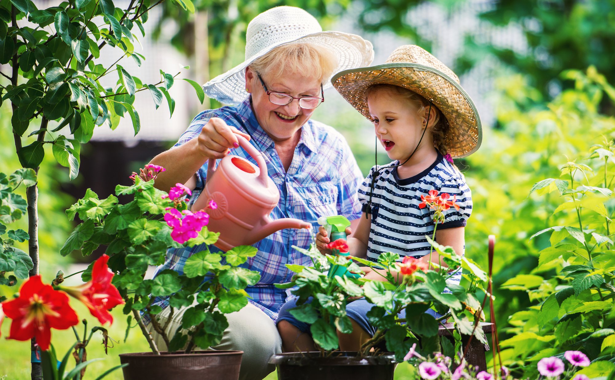 Gardening with a kids. Senior woman and her grandchild working in the garden with a plants.