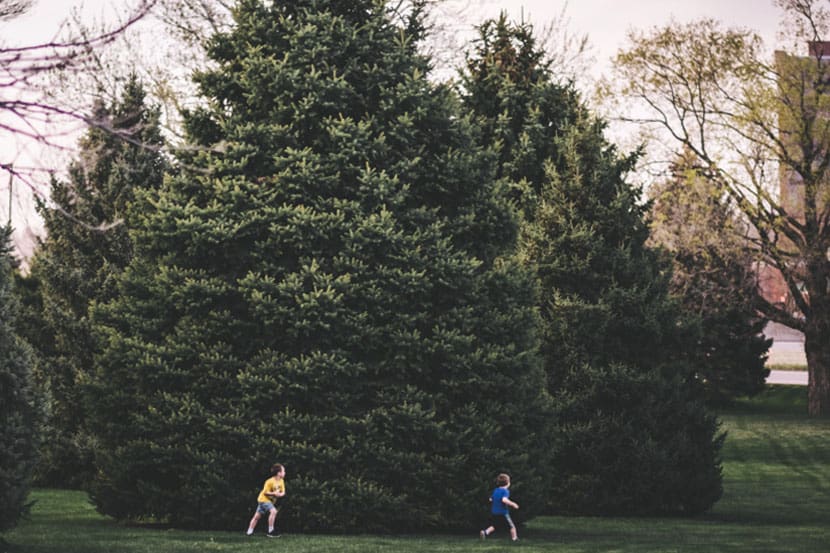 Rooted in community